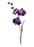 Ansiedade