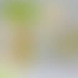 Yana’s Tulips Collection by Yana Smakula for Spellbinders