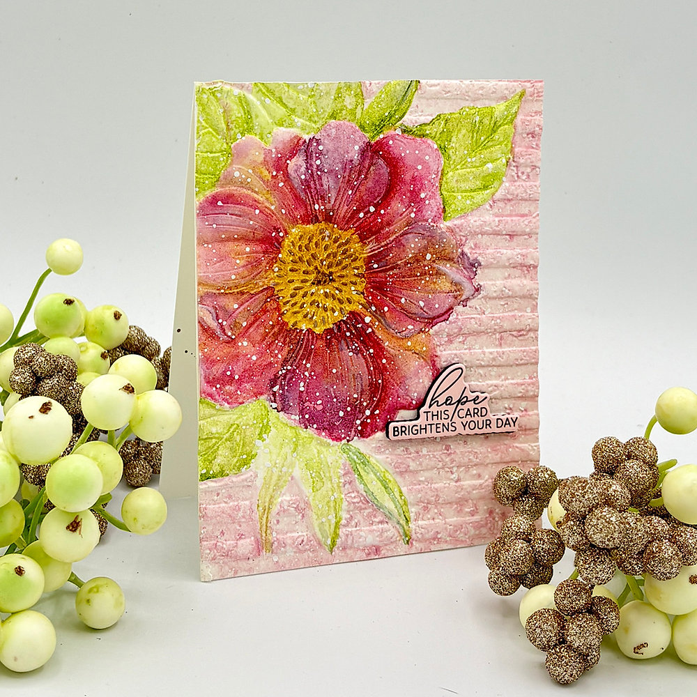 Spellbinders 3D Embossing Folder of the Month | January, 2026