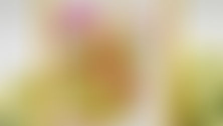 Spellbinders Clear Stamp & Die of the Month – April 2026