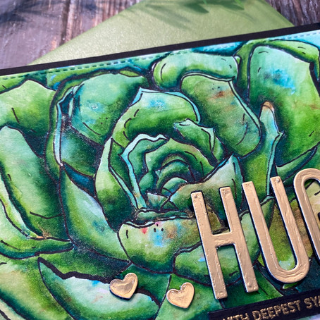 Succulent Close Up by Alex Syberia Design