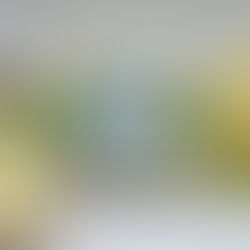 Ears To Spring | Spellbinders Clear Stamp & Die of the Month – February 2026