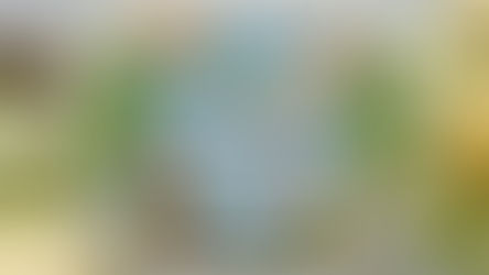 Ears To Spring | Spellbinders Clear Stamp & Die of the Month – February 2026