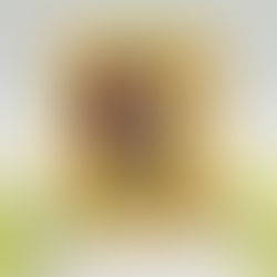 FLAT SHAKER with Spellbinders Press & Foil of the Month – Seed Co. Border | April , 2026