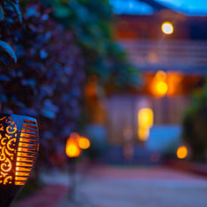 Thenk (166 of 347).jpg
