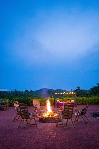 Thenk (174 of 347).jpg
