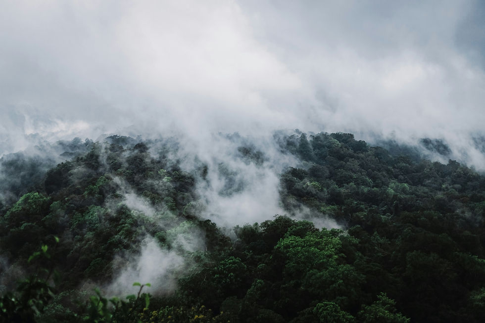 kirill-HU_iSmQqpK4-unsplash.jpg