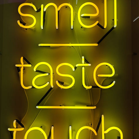 Tauro... cuerpo y materia