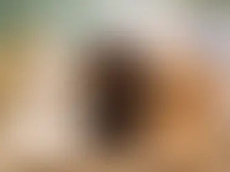 Australian Labradoodle Puppies Price in the UK