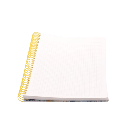 Thumbnail: LIZY - SPRGW17SQ - Notebook - რვეული ზამბარით