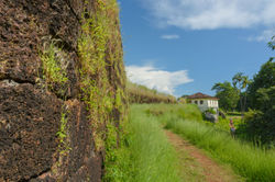 Goa Memories - Post Monsoon