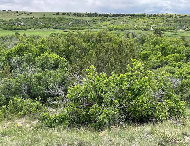 Thumbnail: Pueblo County, CO - 5710131006