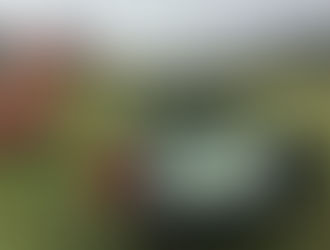 Denwerks - Another Round of Root beer Please!