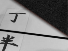 Traditional Japanese Dice Game Experience