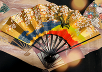 Traditional Japanese Dance