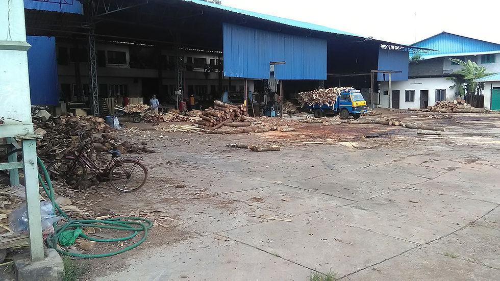 The Ultimate Guide to Sourcing from a Plywood Factory in Perumbavoor: The Kerala Plywood Standard