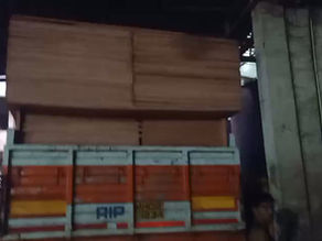 High-Volume Plywood Dispatch: Wholesale Order for Indore, Madhyapradesh 🚚