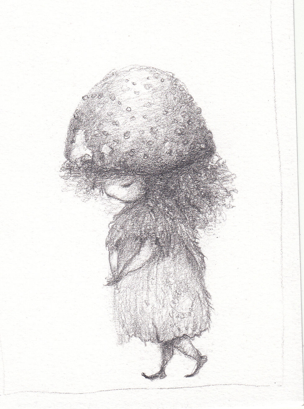 Amanita sketch study