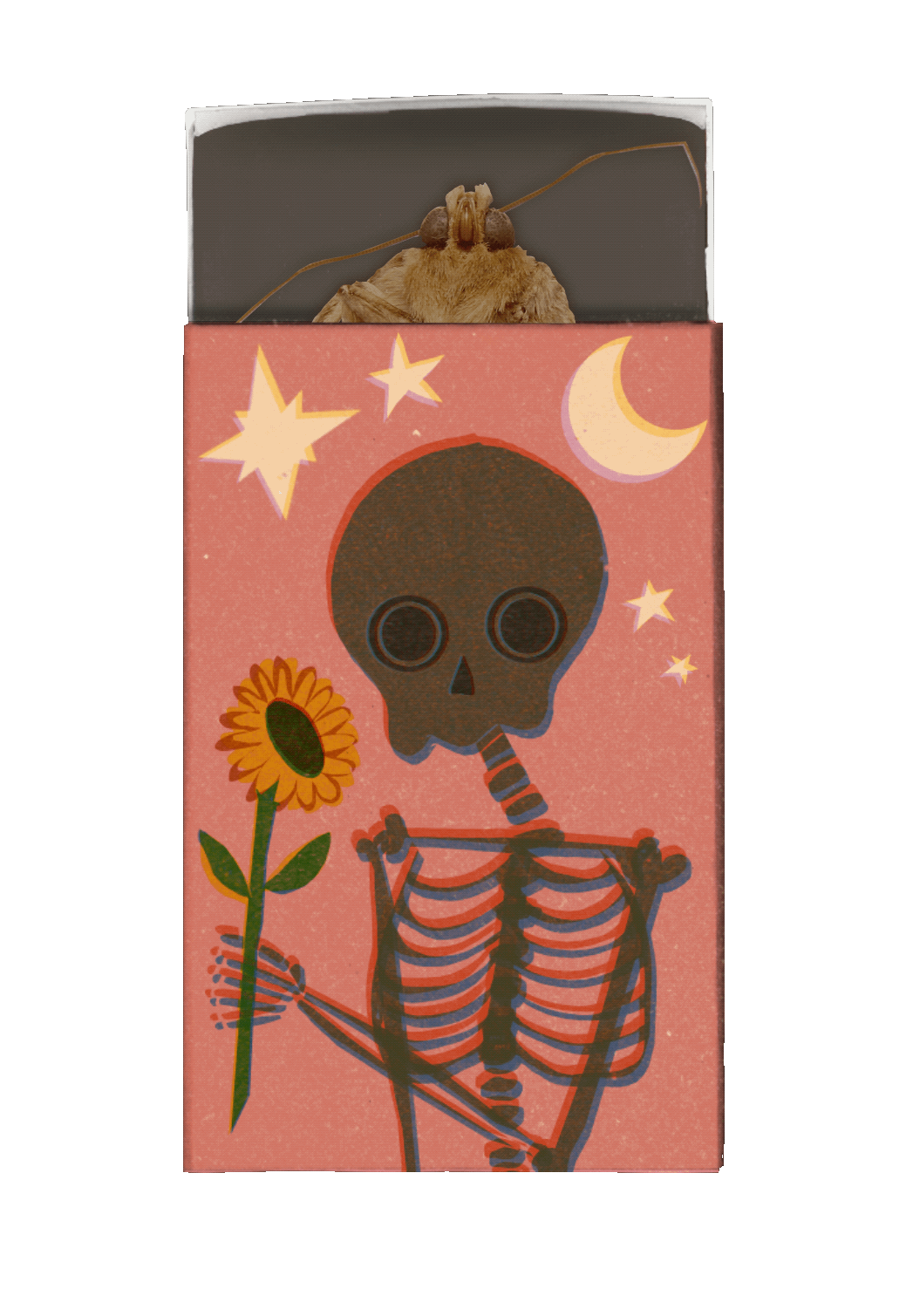 Matchbox Coffin for a Dead Moth