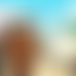 Hoje, 2 de dezembro, o samba vibra com o axé dos ancestrais