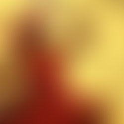 As energias de Yansã impulsionarão escolhas firmes e caminhos de superação