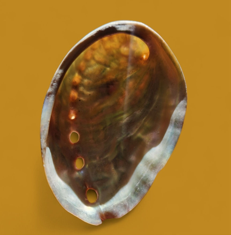 Abalone shell for fumigation