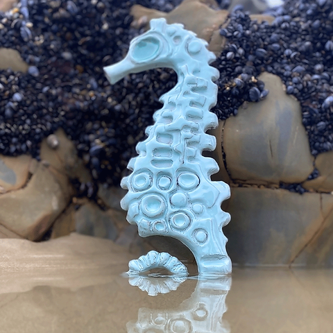 Hippocampus comes - Picasso Aquarium Hippocampus comes - Picasso Aquarium