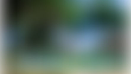 La République dominicaine, 2024, une année record