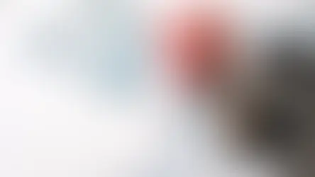 Les avantages des comptes d’épargne à haut rendement : Comment choisir le meilleur pour vous.