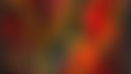 Un grand peintre de chez nous refait surface avec des œuvres uniques au monde…Suivez-nous pour le découvrir !