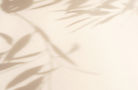 shutterstock_1649708851.jpg