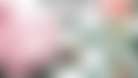 Canadian Piggy Bank financial Strategy