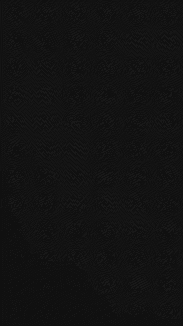 flitter tanzen portrait gif.gif