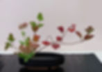 Composition florale réalisée par l'école Ohara Paris