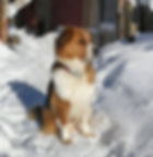 27749801_1890676967621462_5058287872896975632_n