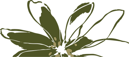 Asset 7.png
