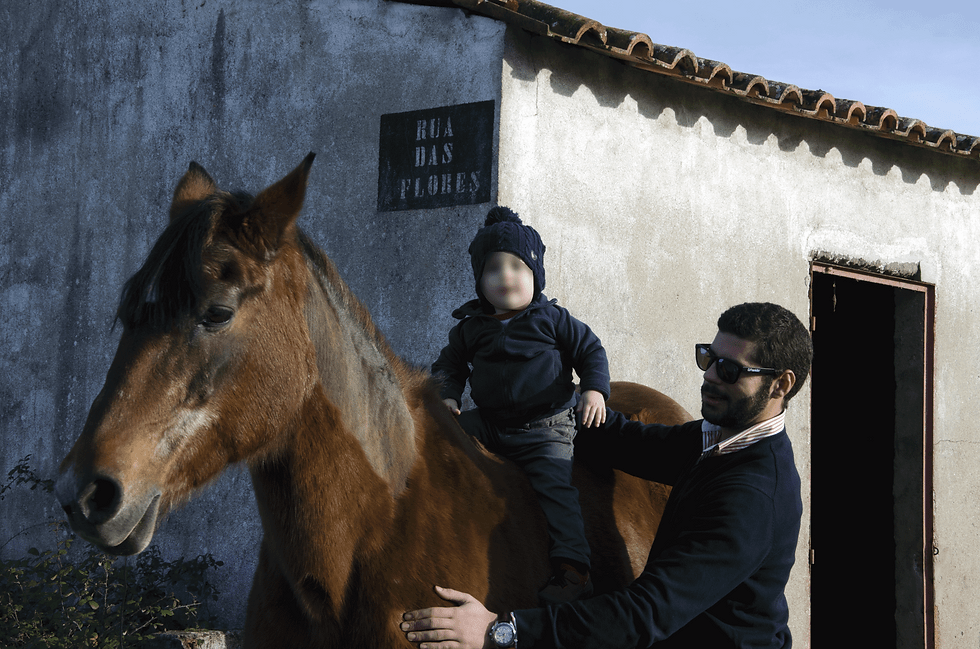 hbc-cavalo