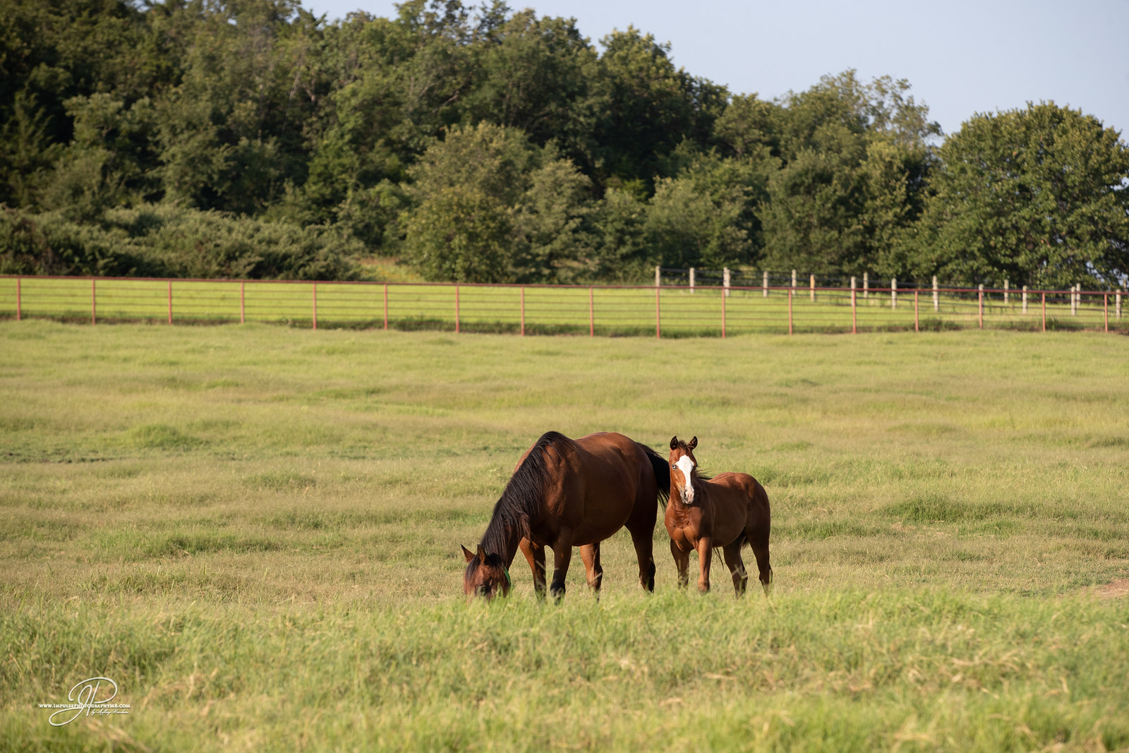 Cinder Lakes Ranch
