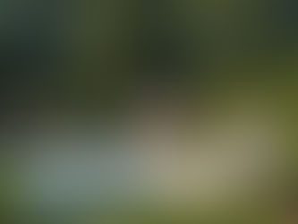 New Smart System Tells Mosquitoes to Eat Elsewhere