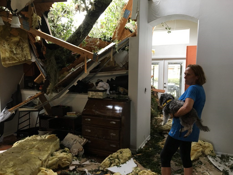 After Disaster Seek Routine