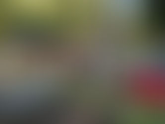 A Look Back: Lessons Learned from 2023 ― Part 2