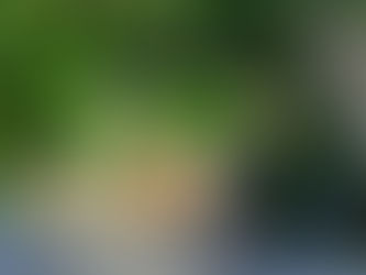 Want to Love Your Yard? PART 2 – Dream First, Budget Second