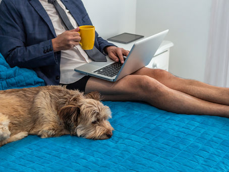 Background Check: Is Your Home Zoom Ready?	