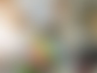 Too Late for Design School? Nope!