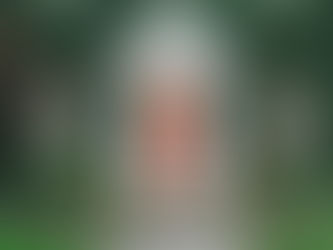 Love Your Yard Part 3 -- Fake Flora Is Gaining Ground