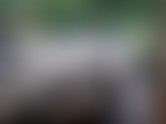 Seven Ways to End Porch Pollution