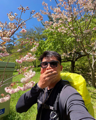 cherry blossom at wuling farm
