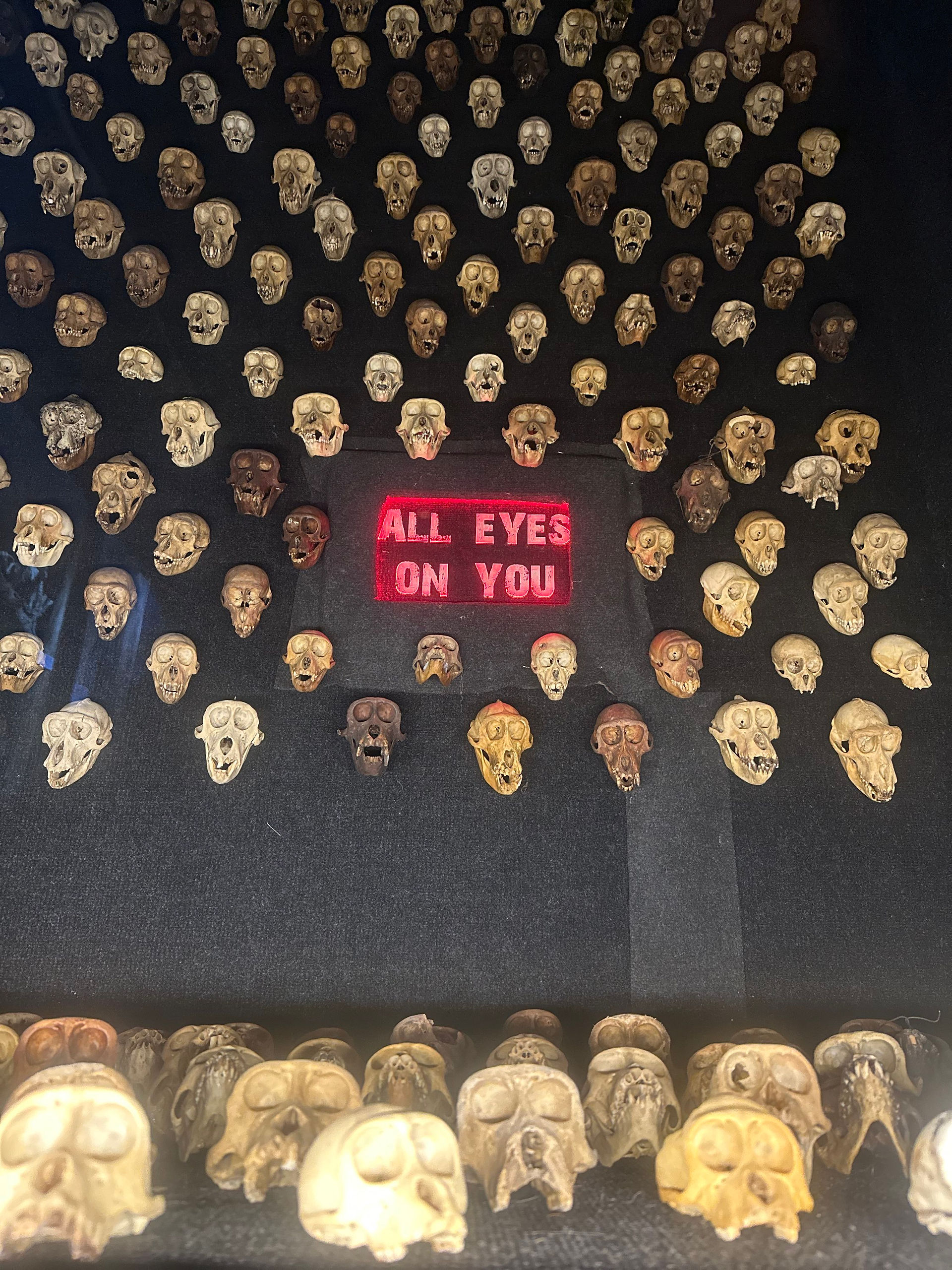 all eyes on you