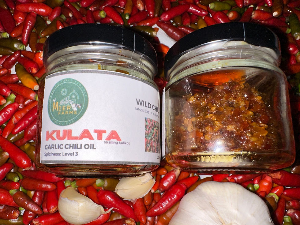 kulata