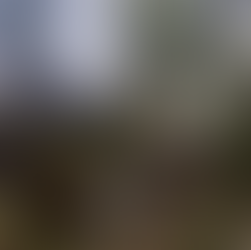 photo in big rock ecamp